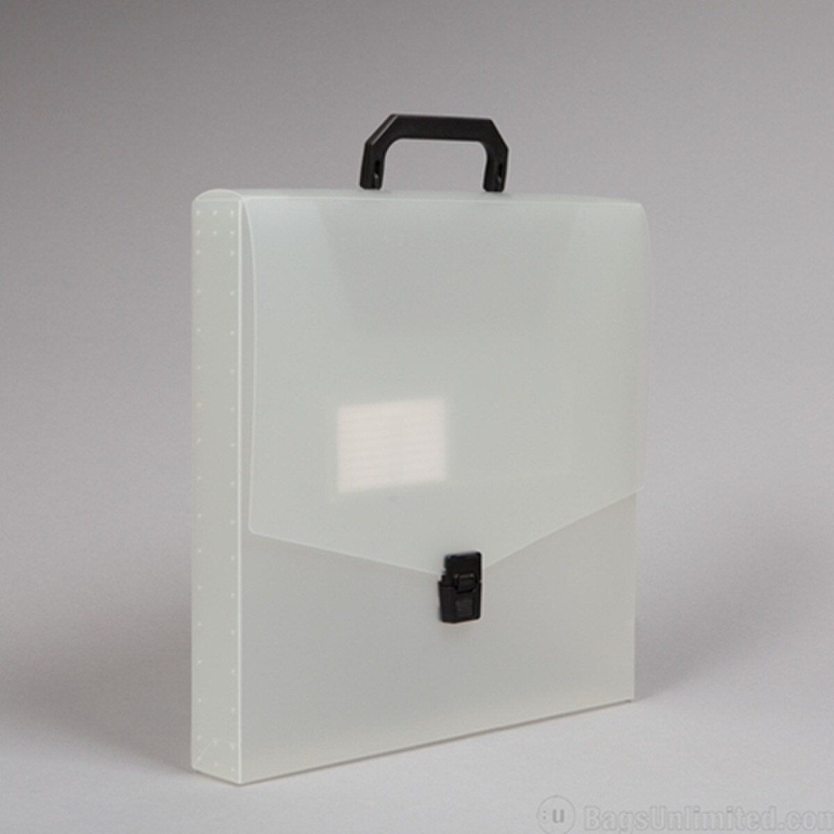 This LP Record Carrying Case holds